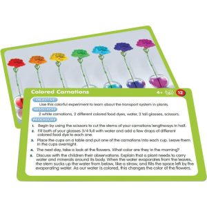 50 Stem Educational Activity Cards For Science | STEM Toys Kids Multi