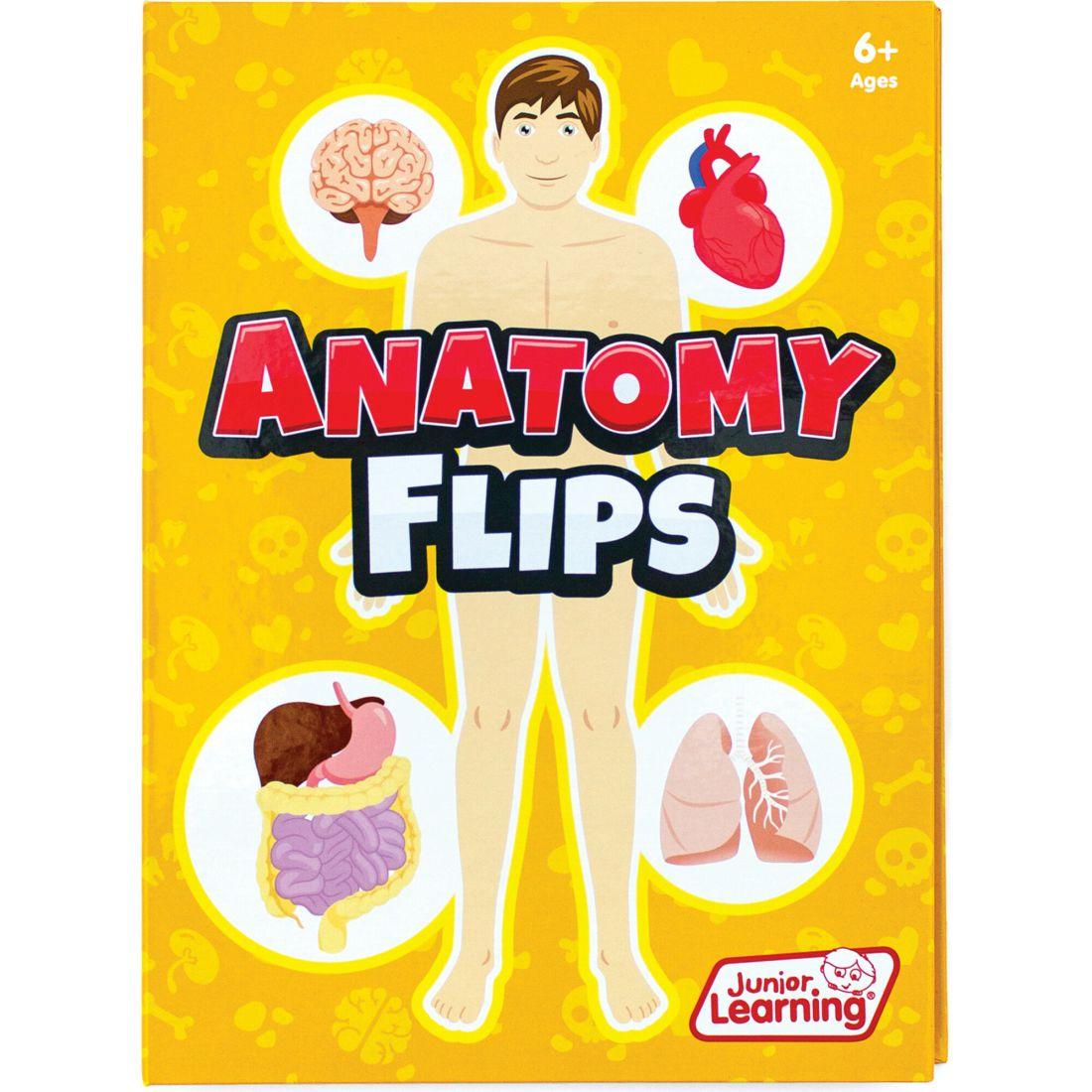 Anatomy Flipseducational Learning Set | STEM Toys Kids Multi