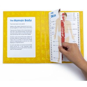 Anatomy Flipseducational Learning Set | STEM Toys Kids Multi