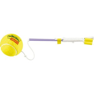 Ball & Tether | Yard & Lawn Games Outdoor Yard & Lawn Games