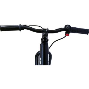 Broc Usa Ebikes -D16 – 16 Inch, Black | Ride-Ons Outdoor Black