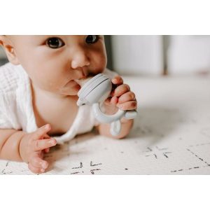 Forage Feeder, Dew | Teethers & Rattles Baby & Toddler Grey