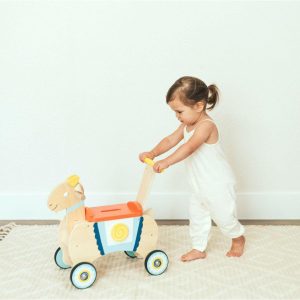 G.O.A.T. Scooter | Push & Pull Baby & Toddler Multi