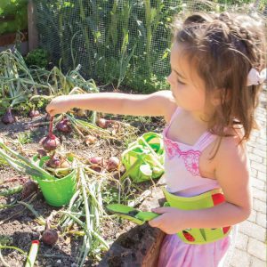 Green Bucket | Yard & Lawn Games Outdoor Multi