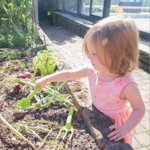 Hand Tools | Yard & Lawn Games Outdoor Multi