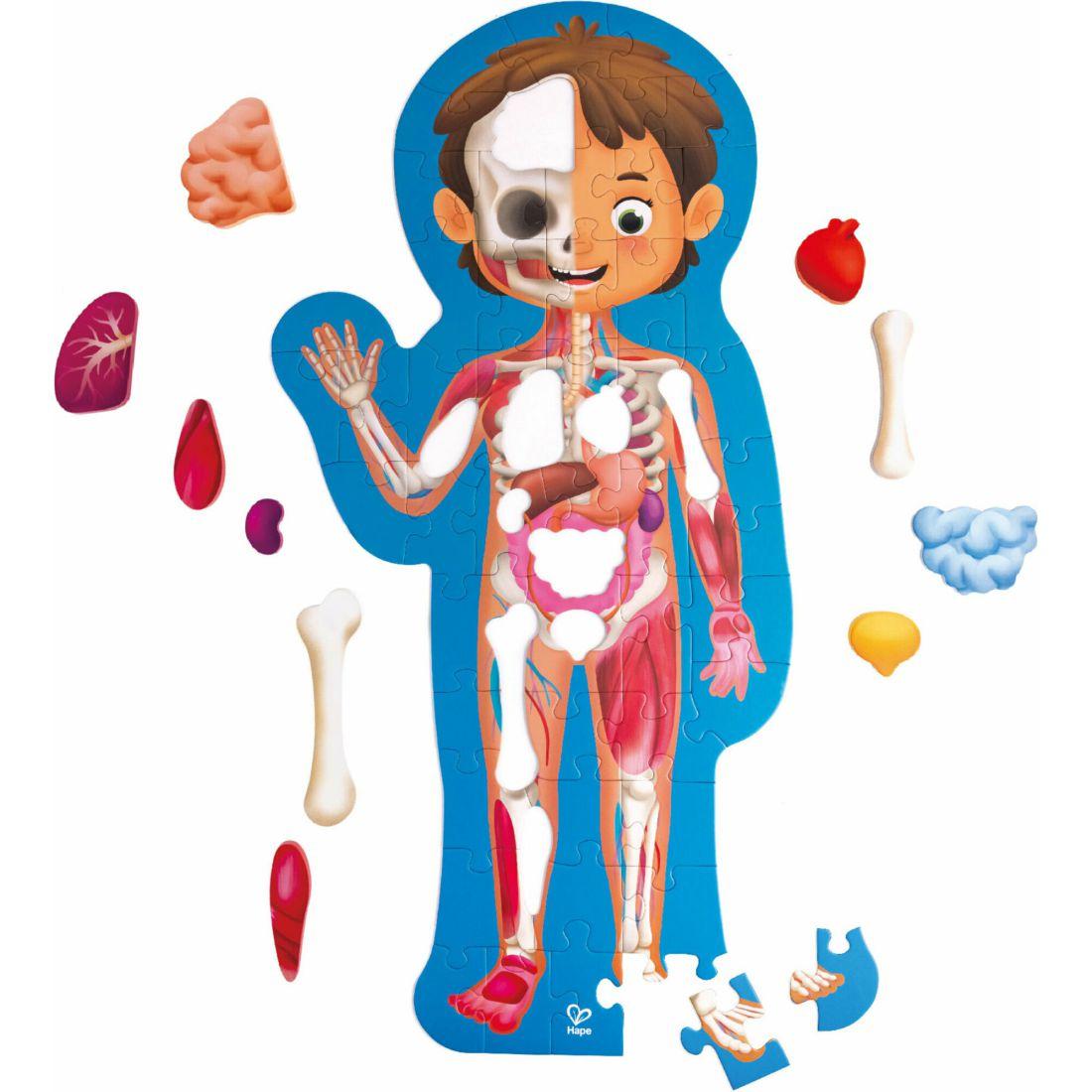 Human Body Jigsaw Puzzle, 60 Oversized Pieces | Puzzles Imaginative Learning Multi