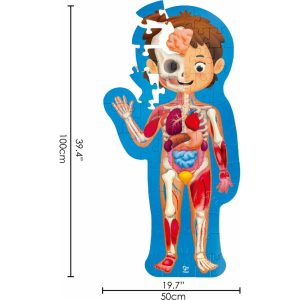 Human Body Jigsaw Puzzle, 60 Oversized Pieces | Puzzles Imaginative Learning Multi