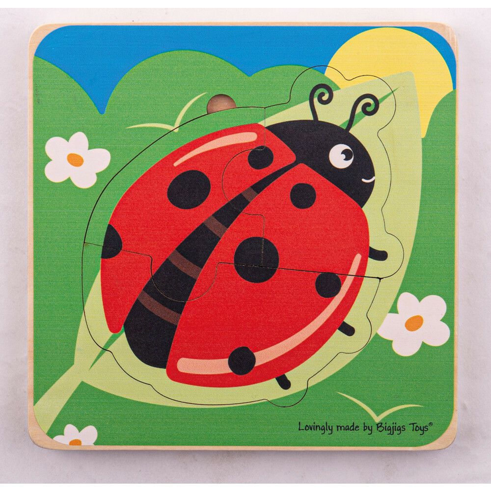 Lifecycle Layer Puzzle – Ladybug | Puzzles Imaginative Learning Multi