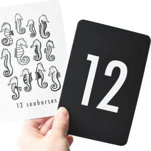 Nature Number Cards | Infant Development Baby & Toddler Black