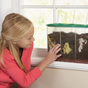 Now You See It, Now You Don’T™ See-Through Compost Container | Educational Toys Educational Toys Educational Toys