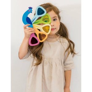 Peacock Colors | Educational Toys Educational Toys Educational Toys