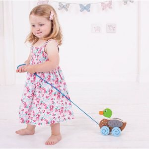 Pull Along (Duck) | Push & Pull Baby & Toddler Multi