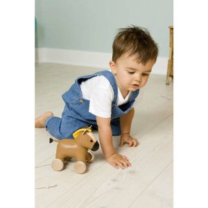 Pull Along Friends – Charles The Horse | Push & Pull Baby & Toddler Brown