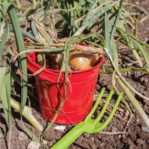 Red Bucket | Yard & Lawn Games Outdoor Multi