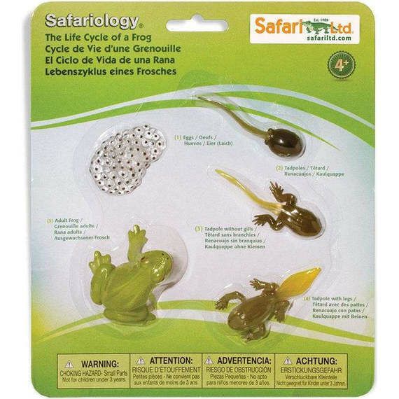 Safari Life Cycle Of A Frog | Toy Figures & Playsets Imaginative Learning Toy Figures & Playsets