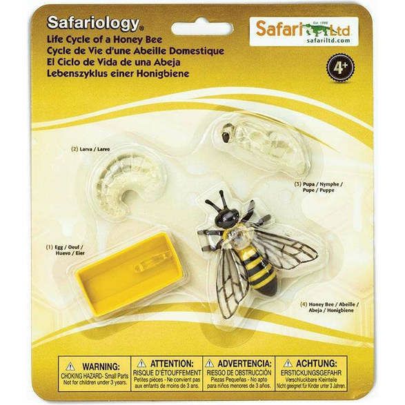 Safari Life Cycle Of A Honey Bee | Toy Figures & Playsets Imaginative Learning Toy Figures & Playsets