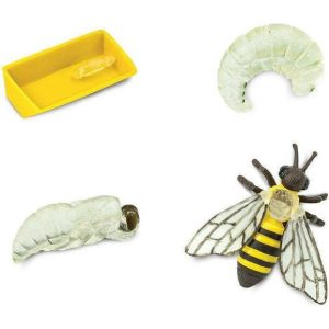 Safari Life Cycle Of A Honey Bee | Toy Figures & Playsets Imaginative Learning Toy Figures & Playsets