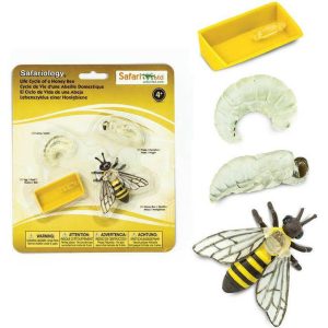 Safari Life Cycle Of A Honey Bee | Toy Figures & Playsets Imaginative Learning Toy Figures & Playsets