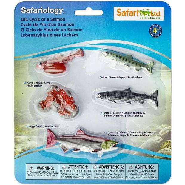 Safari Life Cycle Of A Salmon | Toy Figures & Playsets Imaginative Learning Toy Figures & Playsets