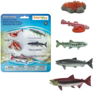 Safari Life Cycle Of A Salmon | Toy Figures & Playsets Imaginative Learning Toy Figures & Playsets