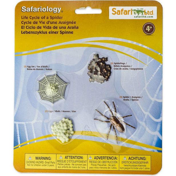 Safari Life Cycle Of A Spider | Toy Figures & Playsets Imaginative Learning Toy Figures & Playsets