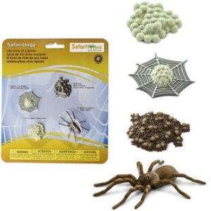 Safari Life Cycle Of A Spider | Toy Figures & Playsets Imaginative Learning Toy Figures & Playsets