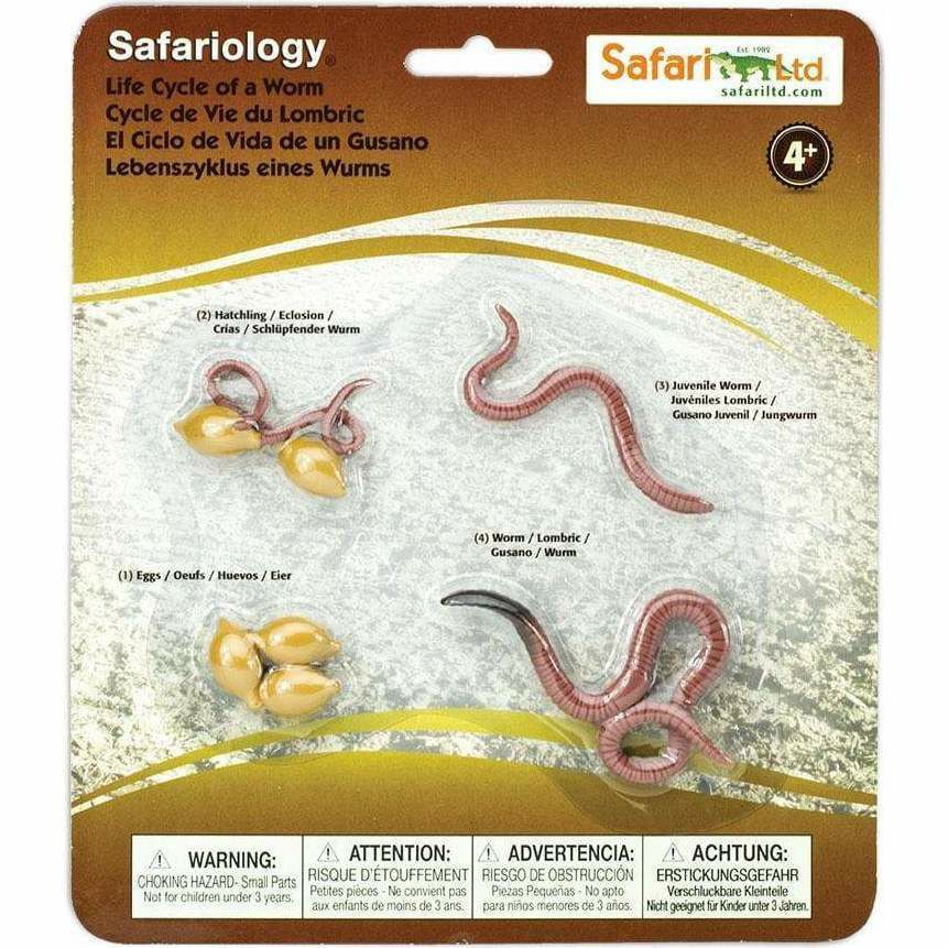 Safari Life Cycle Of A Worm | Toy Figures & Playsets Imaginative Learning Toy Figures & Playsets