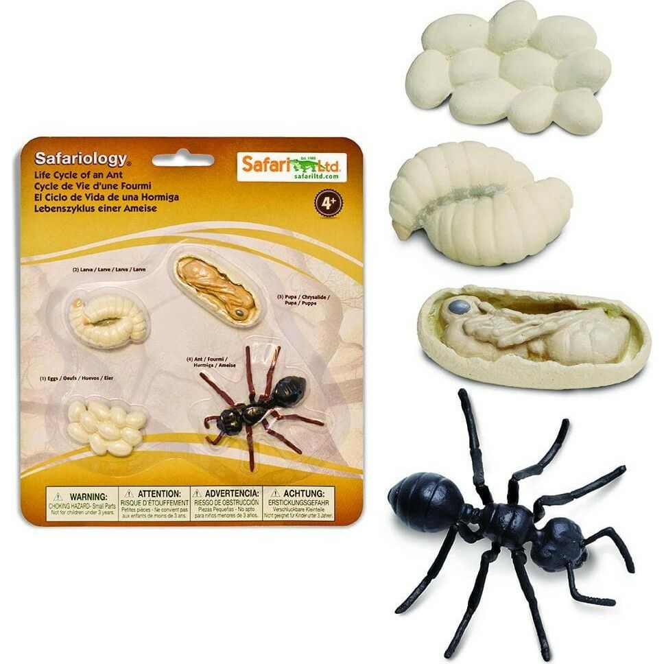 Safari Life Cycle Of An Ant | Toy Figures & Playsets Imaginative Learning Toy Figures & Playsets