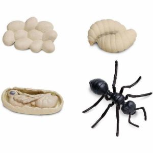 Safari Life Cycle Of An Ant | Toy Figures & Playsets Imaginative Learning Toy Figures & Playsets