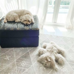 Schannel Lux Shih Tzu, Grey | Plush Baby & Toddler Grey