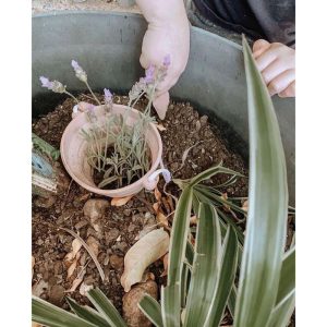 Seedling Pot With Spade Dusty Rose | Yard & Lawn Games Outdoor Pink