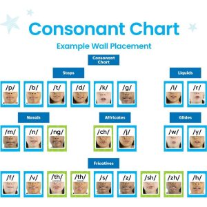 Sound Wall Classroom Phonics Kit (169 Cards) | Educational Toys Educational Toys Educational Toys