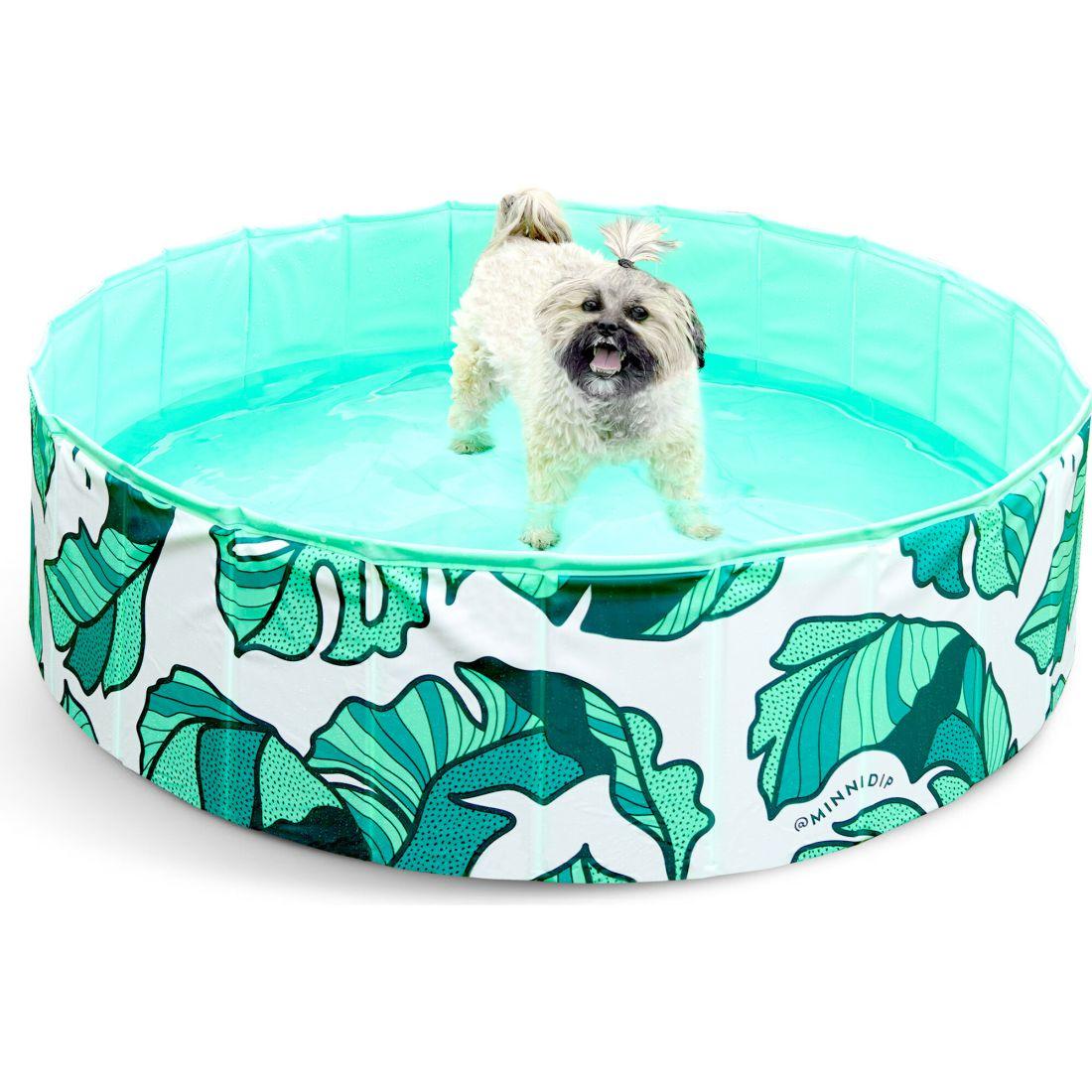 The Tropical Palms Pup Dip | Water Toys Outdoor Green