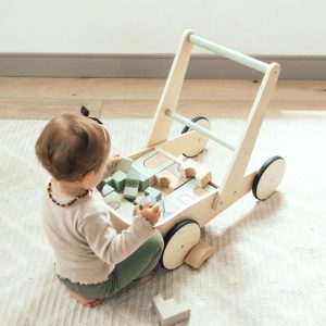 Wagon Walker | Push & Pull Baby & Toddler Infant Development